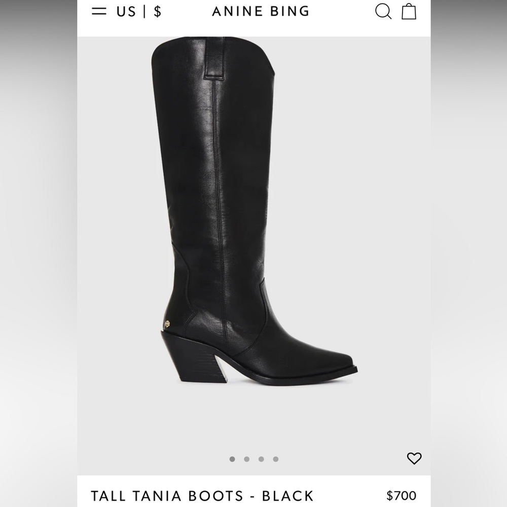Anine Bing Tania boots